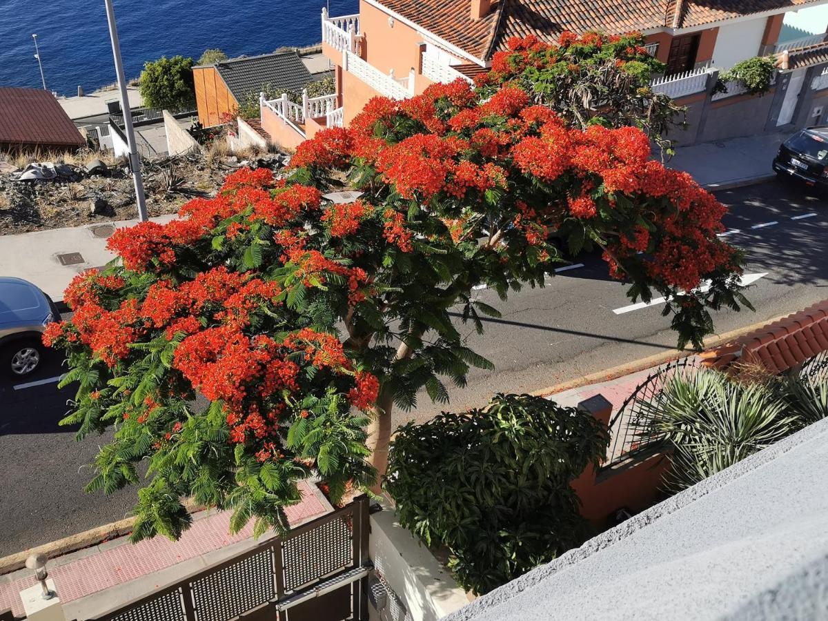 Balcon De Costanera Villa Santa Cruz de Tenerife Exteriör bild